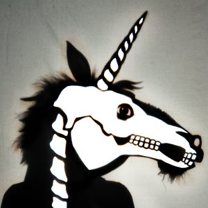 Photo by Mind of a Snail